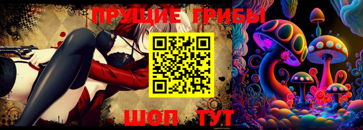 Псилоцибиновые грибы MAGIC MUSHROOMS  Псилоцибиновые грибы ЛСД  Вход с VPN  Шарыпово 